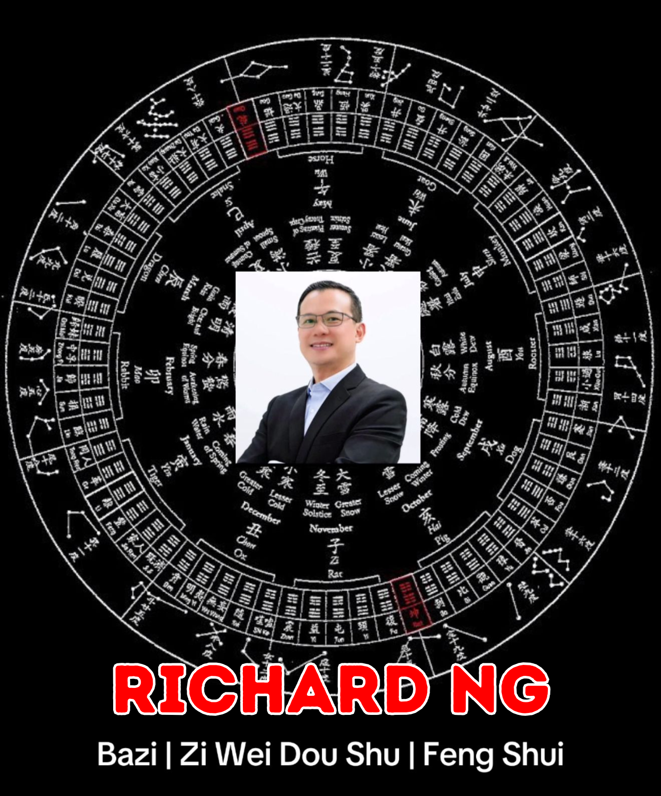 Zi Wei Dou Shu Consultation