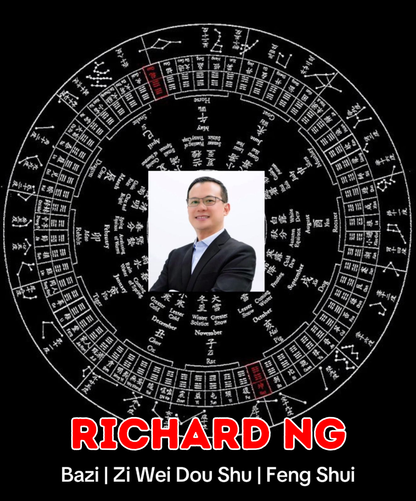 Zi Wei Dou Shu Consultation