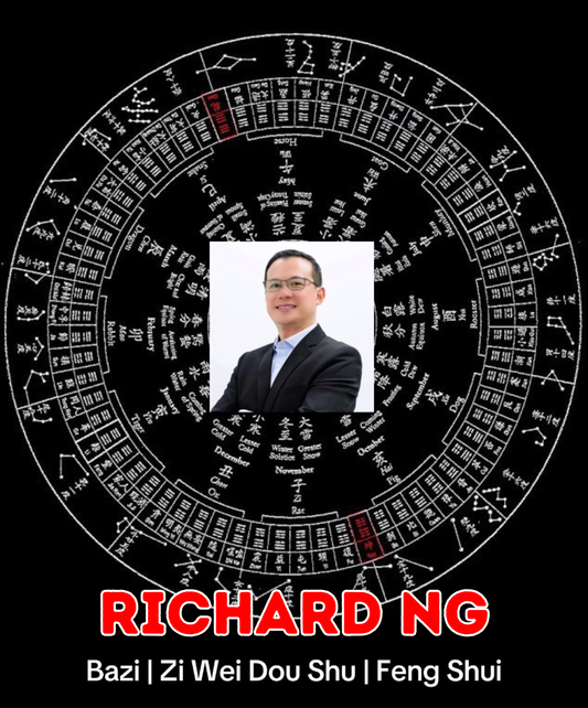 Zi Wei Dou Shu Consultation